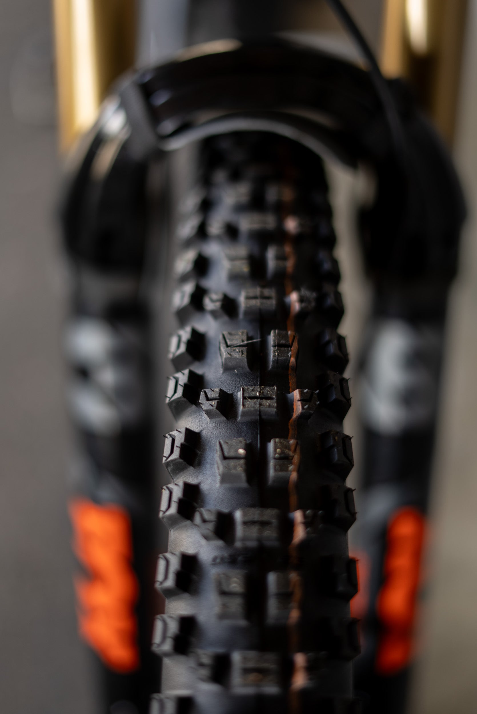 How to Choose the Right Mountain Bike Tire for Your Local Trails