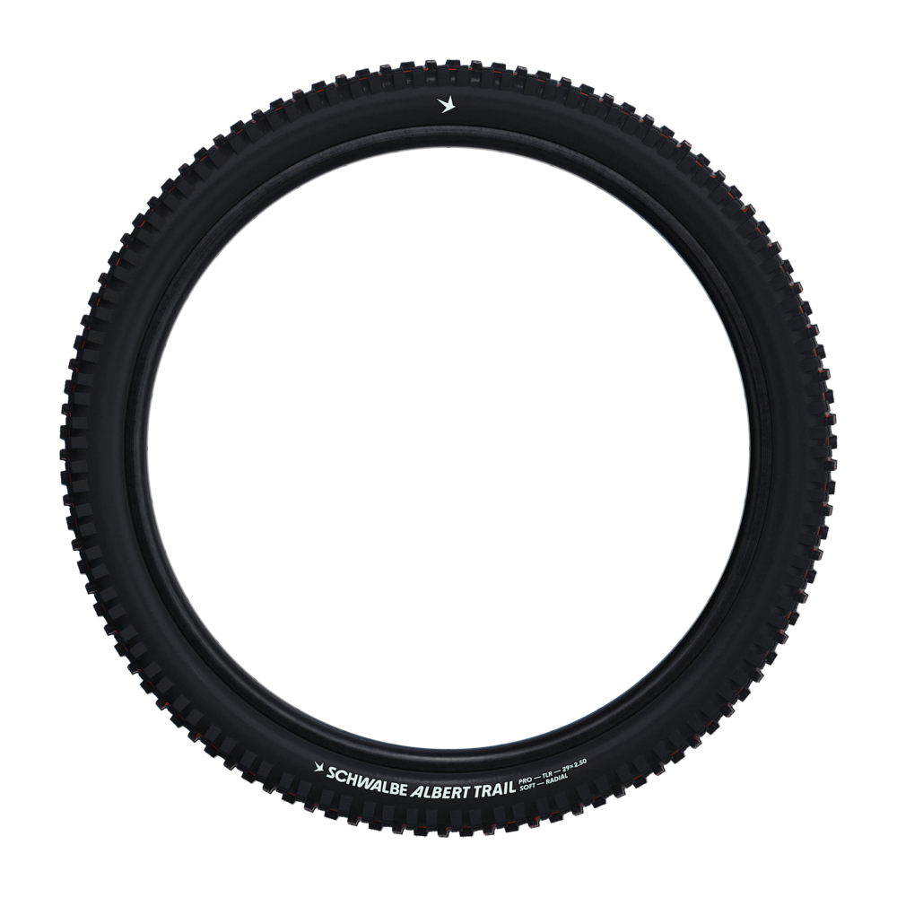 Schwalbe Albert Gravity Pro Radial Tire