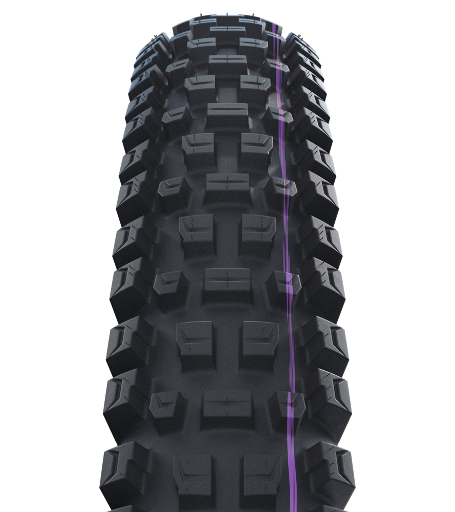 Schwalbe Albert Gravity Pro Radial Tire