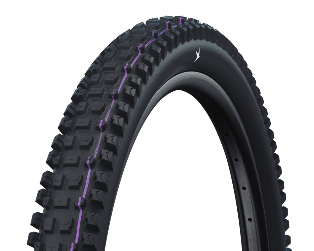 Schwalbe Albert Gravity Pro Radial Tire