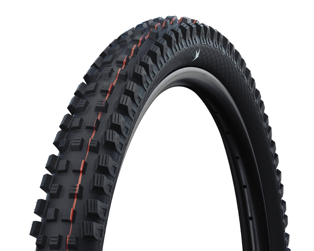 Schwalbe Magic Mary Gravity Pro Radial Tire