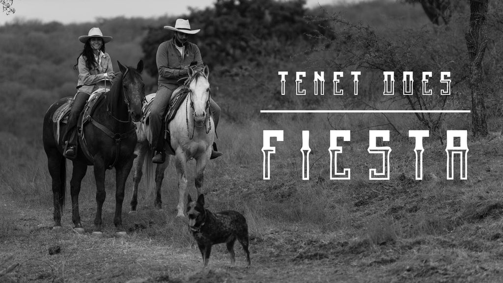 Tenet Does Fiesta