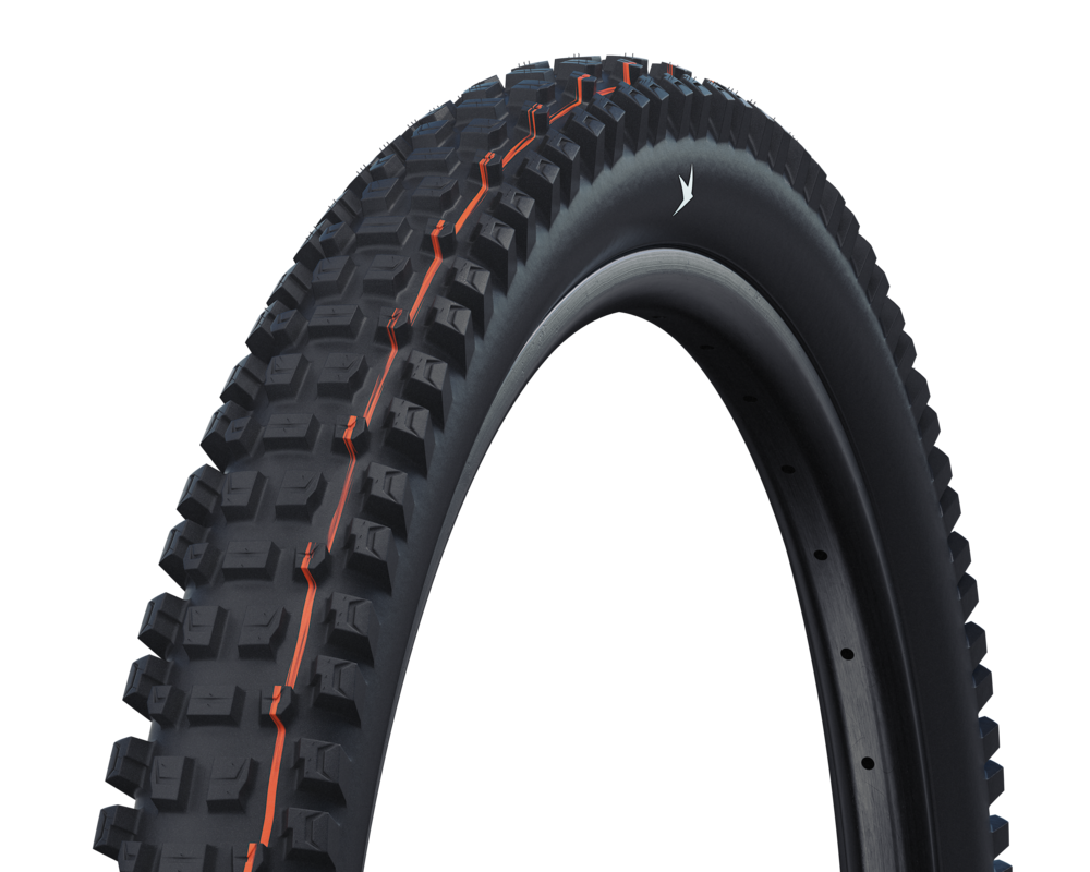 Schwalbe Albert Gravity Pro Radial Tire