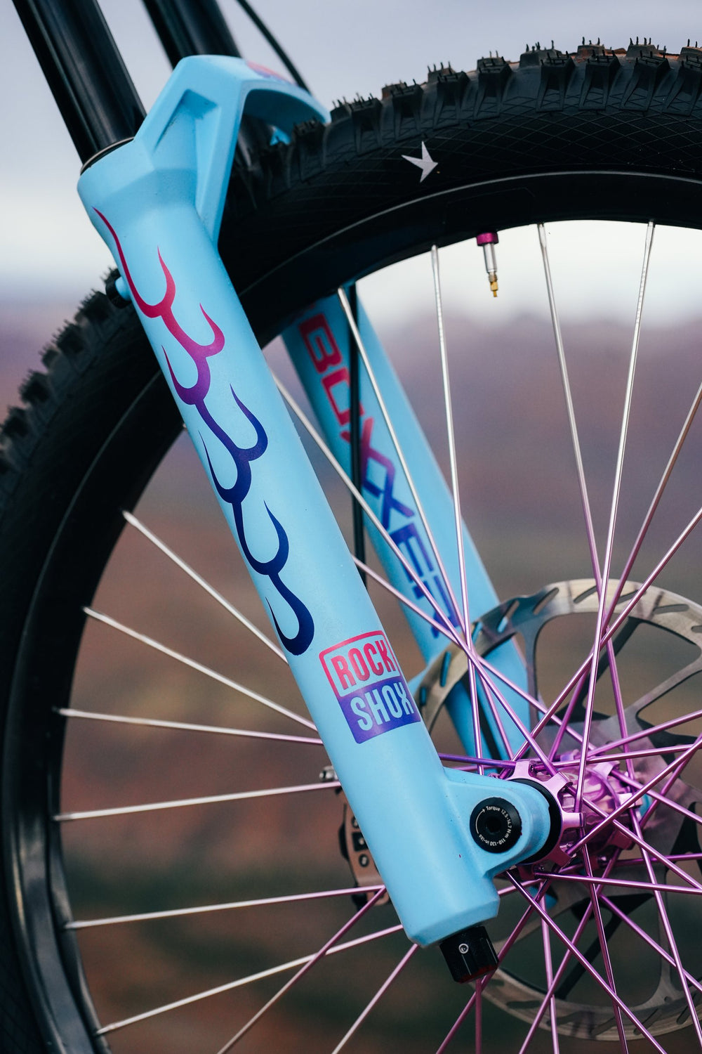 Hand-painted flames on Hannah's light blue RockShox BoXXer.