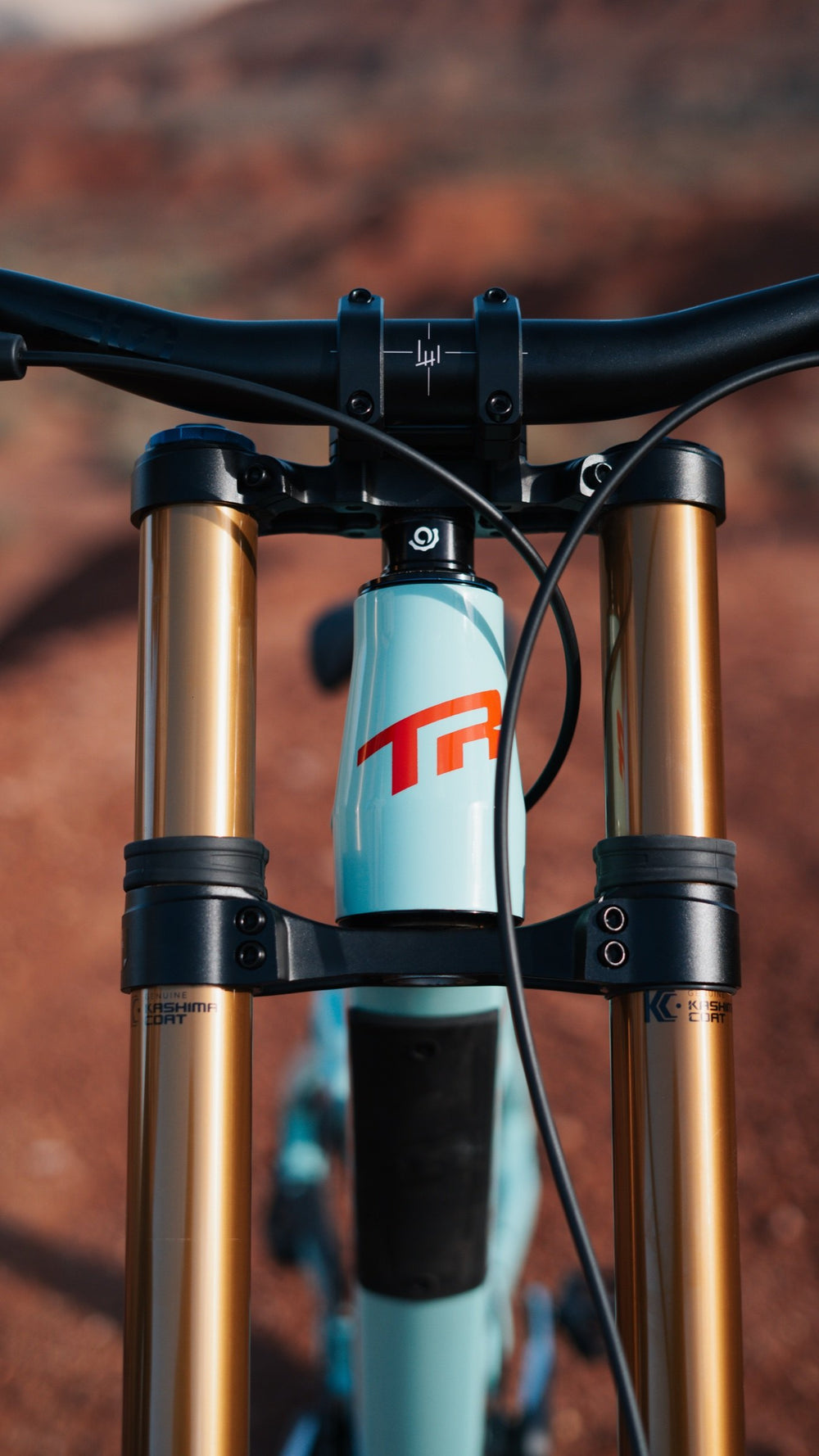 Gold Fox fork legs and crowns from the front.