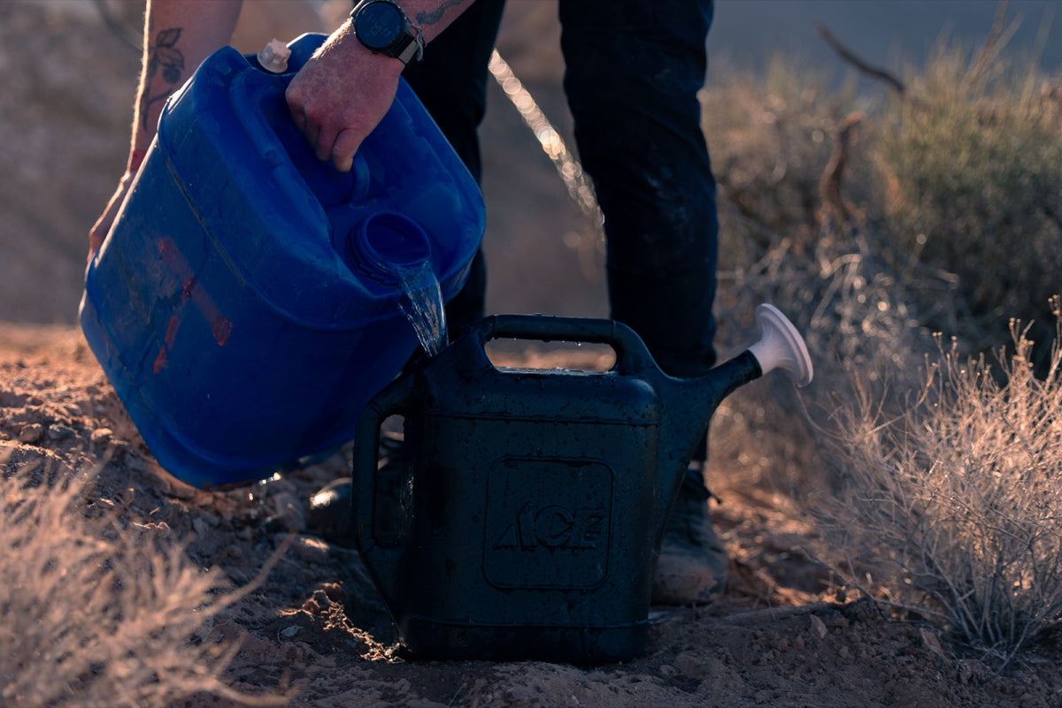Water pours from a blue jug onto the dirt. Photo: Robin O'Neill.