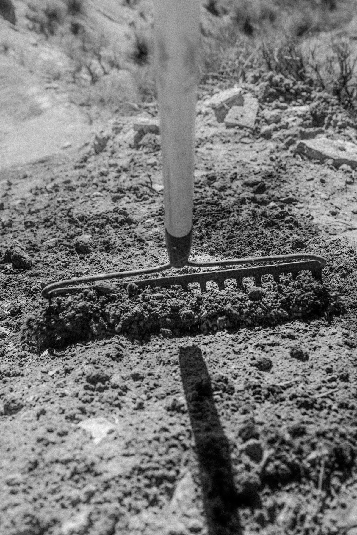 A rake drags across packed dirt in black and white. Photo: Robin O'Neill.